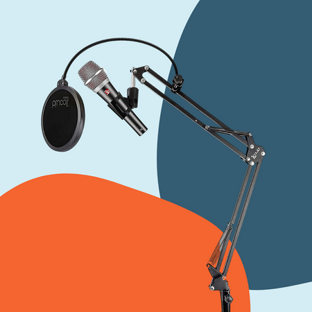 SE Electronics Microphone